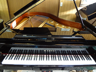 Kawai KG3