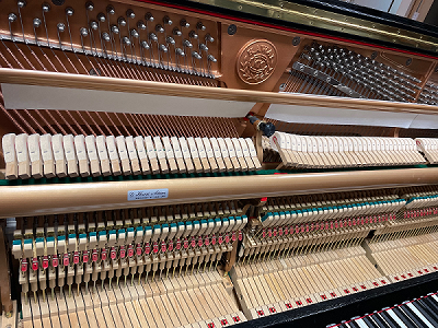 KAWAI BS-20�@�A�N�V����