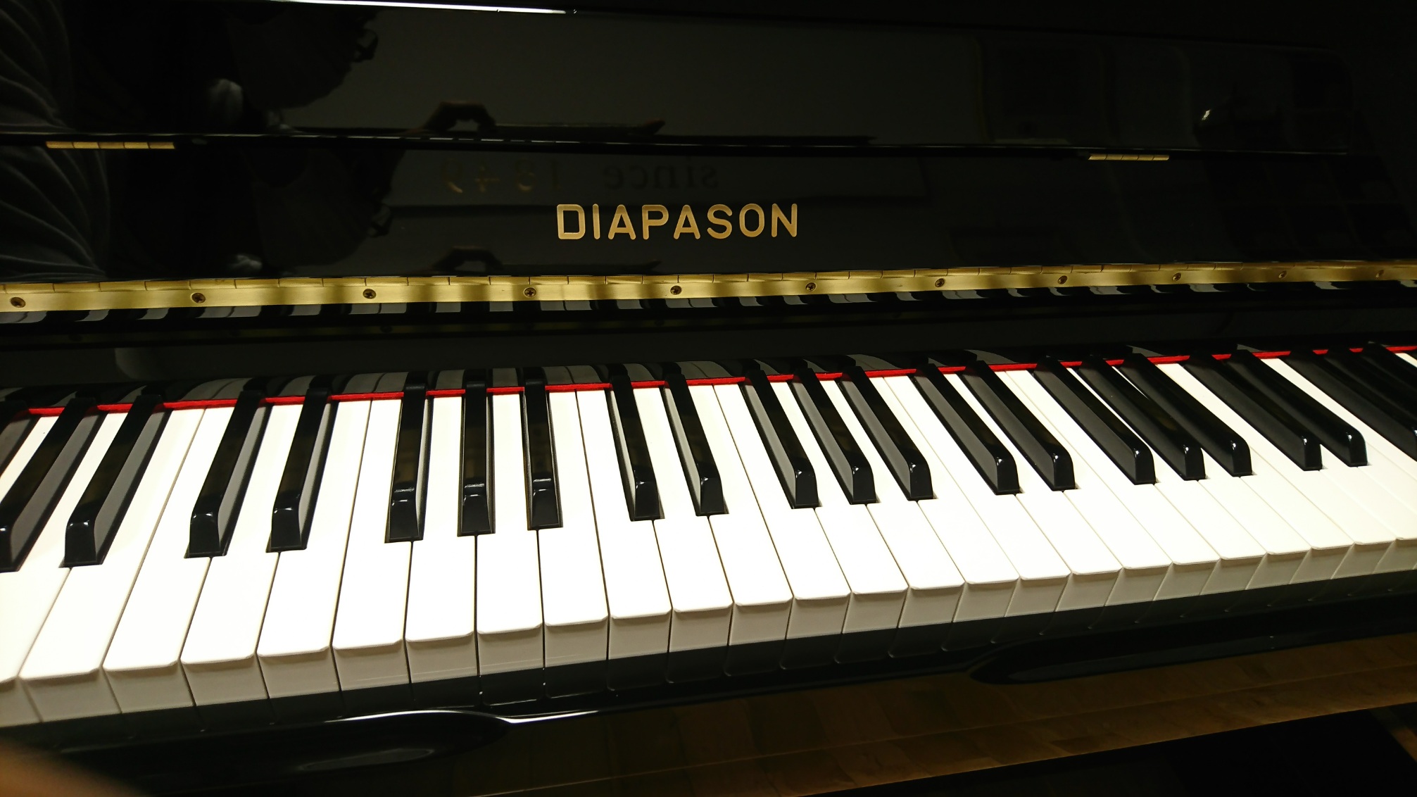 DIAPASON DL-125�@����