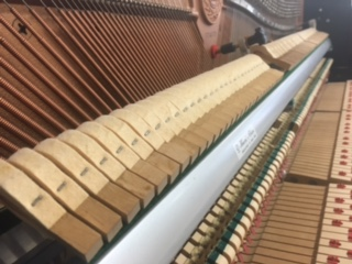 YAMAHA ED-48E�@�n���}�[