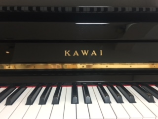 YAMAHA ED-48E ���S