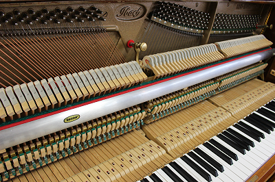 Ibach�@����"