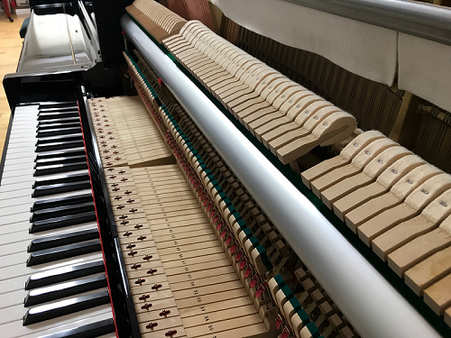 KAWAI K-25 �n���}�[