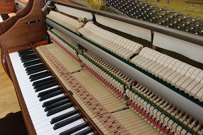 Cohler&Campbell�@�O��