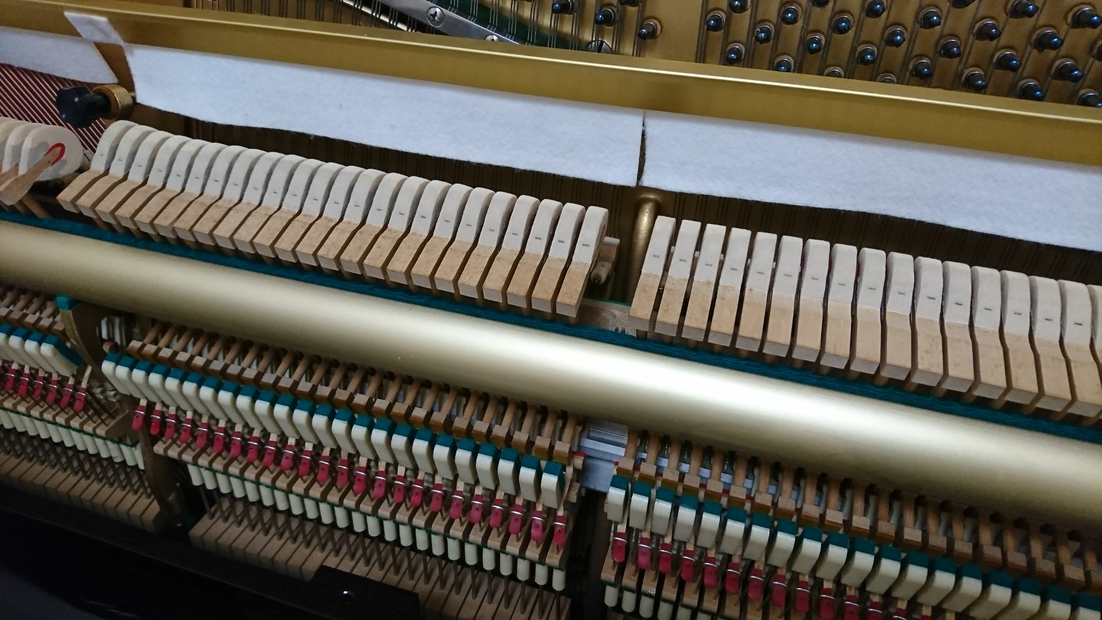 KAWAI KU-3D�@�A�N�V����