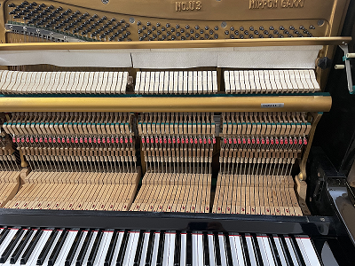 YAMAHA No.U3�@�A�N�V����