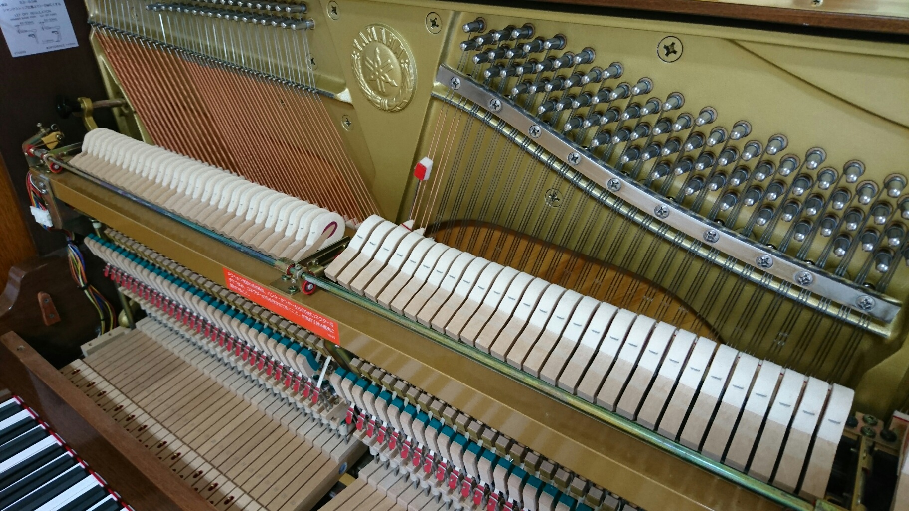 YAMAHA U100Wn�@�A�N�V����