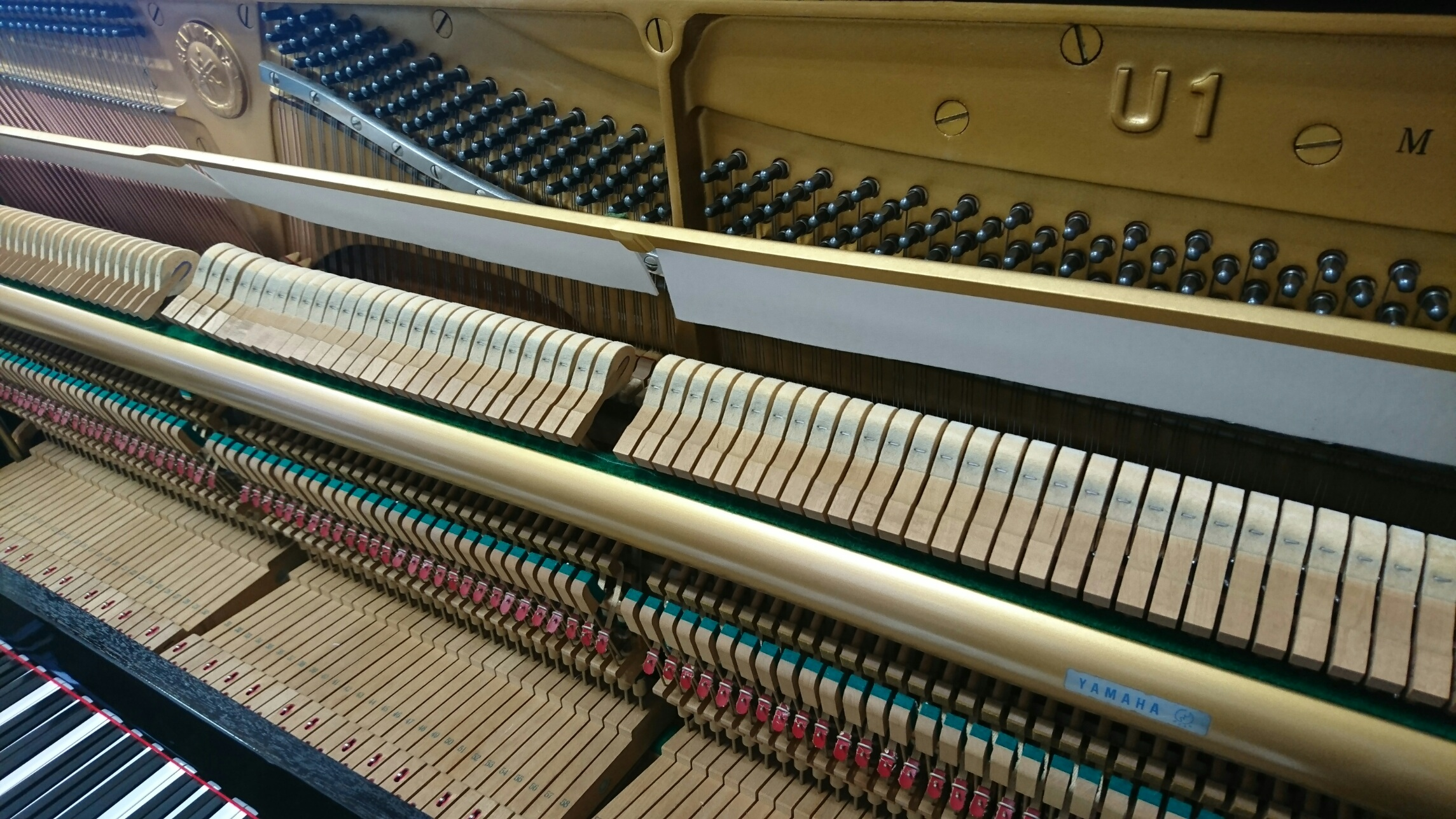 YAMAHA U1M�@�A�N�V����