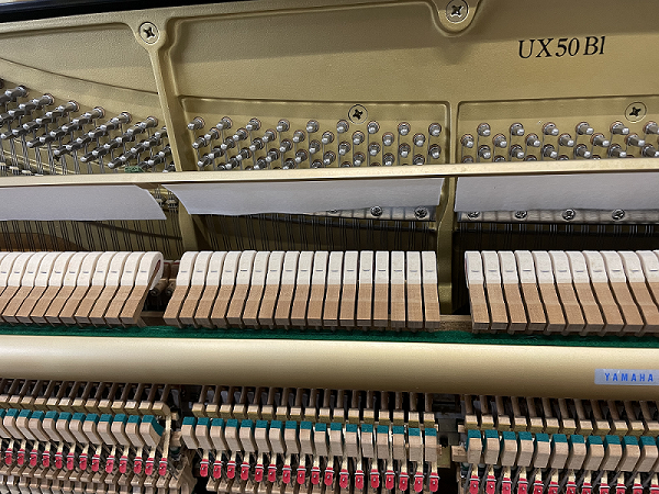 YAMAHA UX50Bl�@�A�N�V����