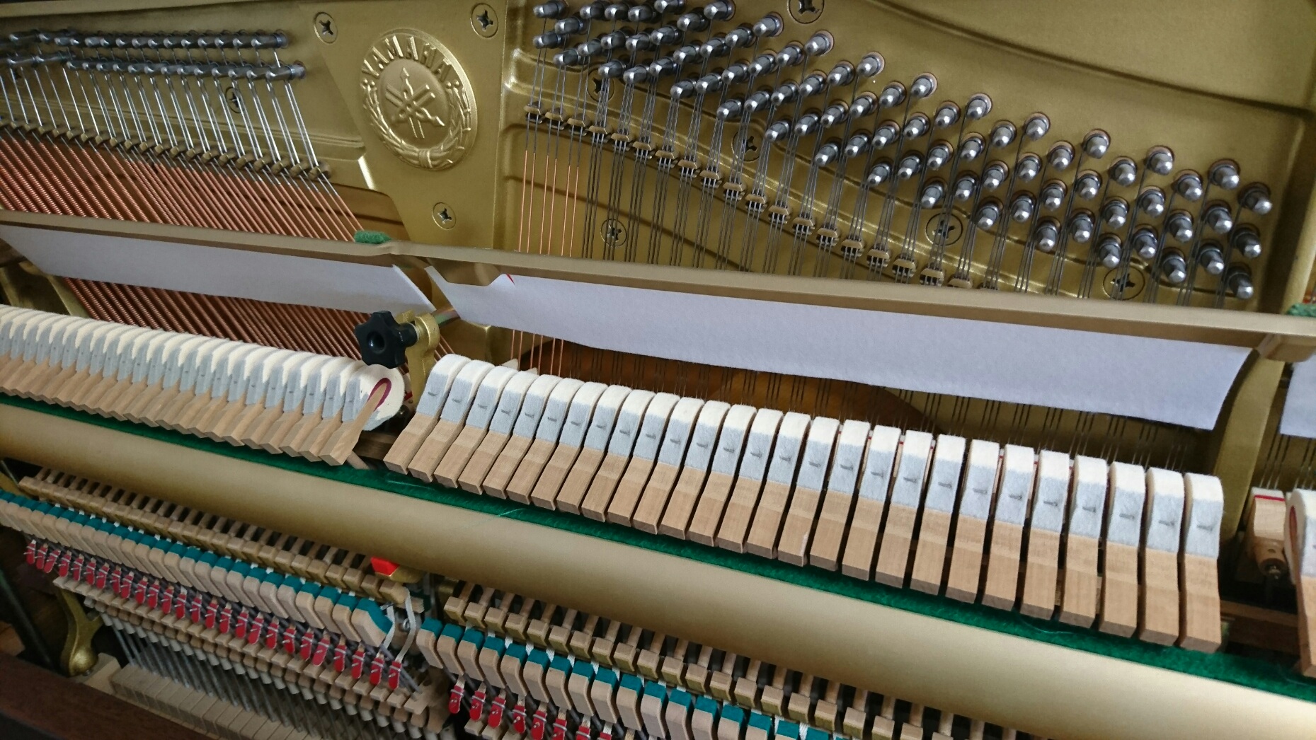 YAMAHA WX5AWnC�@�A�N�V����