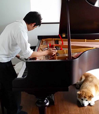 �s�A�m�����̃y�[�W��