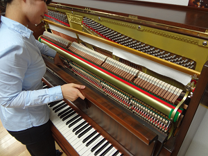 �O�����O��