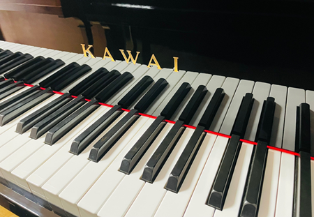 KAWAI BL-71 ����