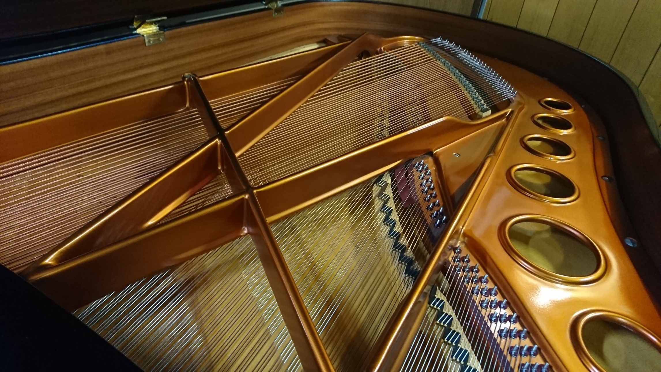 Bosendorfer200�@�t���[��