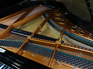 bosendorfer�@151�@�t���[��