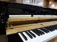 bosendorfer�@151�@�A�N�V����