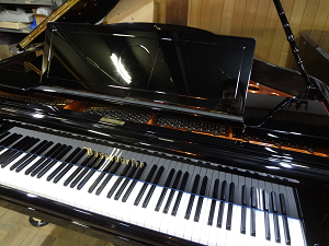 B&uml;osendorfer 170 1935�N����