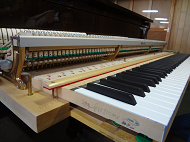 �A�N�V����