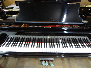Steinway Model A 1992�N�n���u���O����