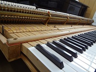 steinway C