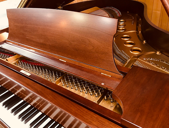 steinway M ���ʑ�